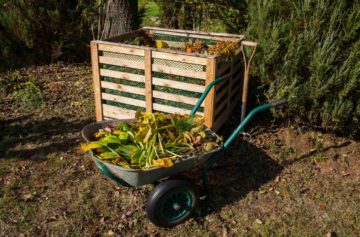 Un bac à compost dans un jardin et une brouette remplie de déchets végétaux