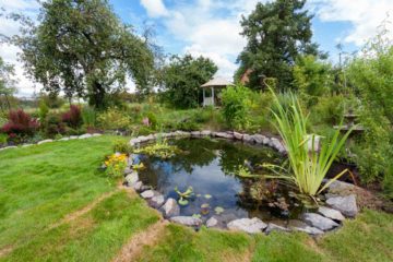 Bassin à poisson aménagé dans un jardin