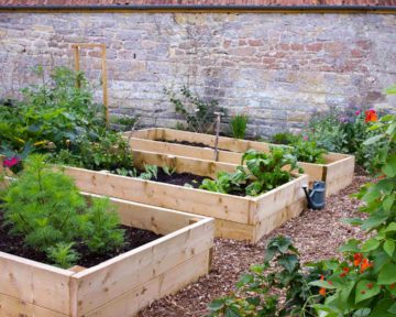 Jardin potager lutte contre les mauvaises herbes et cailloux