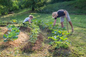 Un homme et une femme travaillent dans un jardin potager