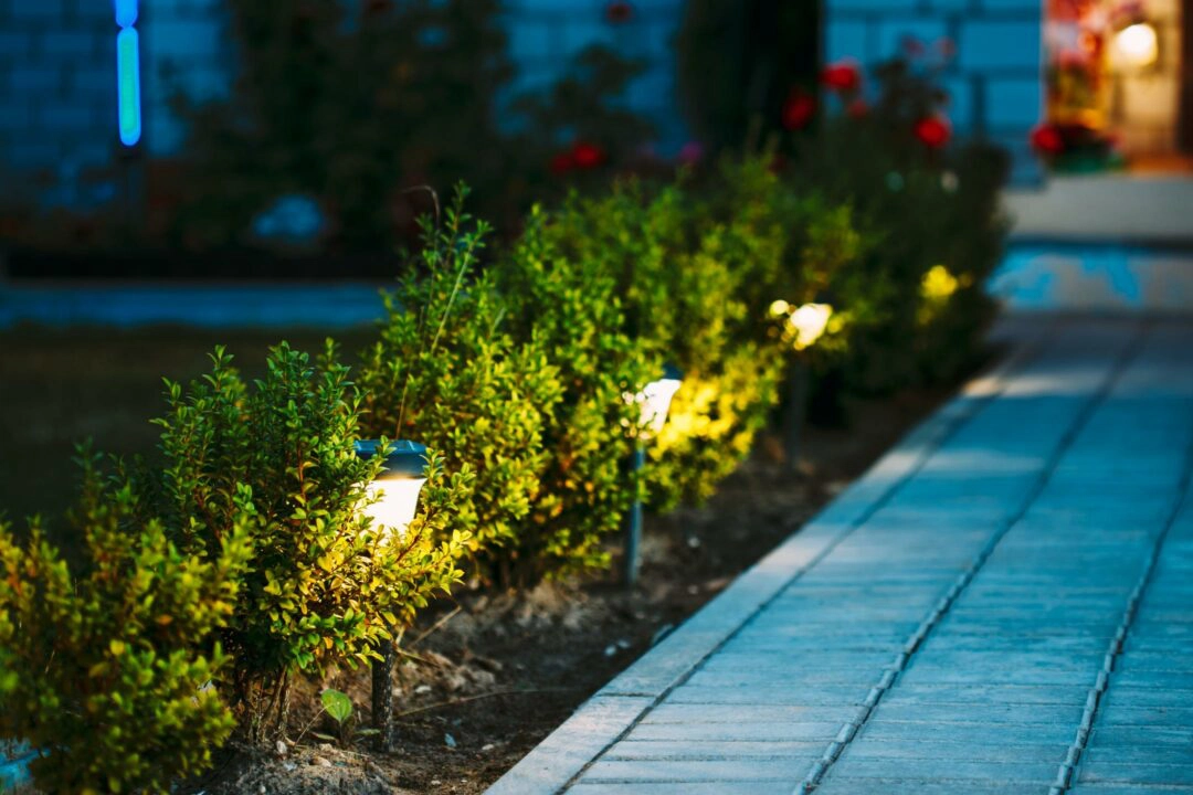 Allée et bordure de jardin éclairés par des lampes à LED solaires