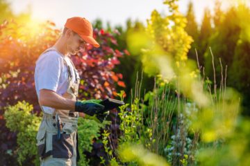 Paysagiste en plein travail dans un jardin