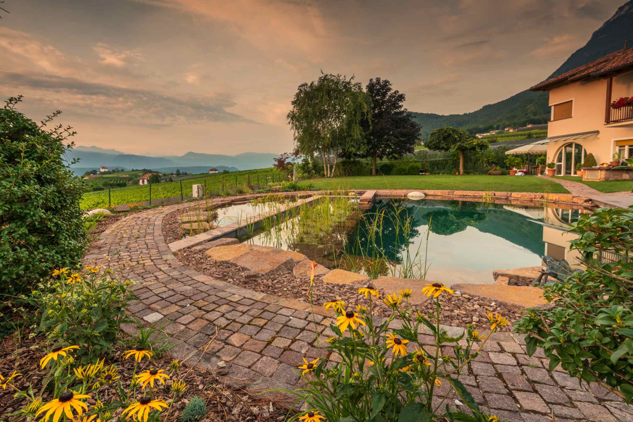 Belle piscine naturelle dans une propriété