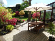 Une belle terrasse en bois aménagée avec une table des plnates diverses et des bonsaïs d'extérieur
