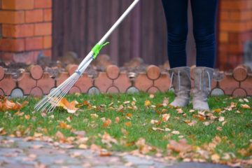 Ramassage des feuilles mortes dans un jardin