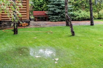 jardin inondé perméable