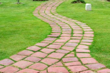 Allée de jardin avec des joints plantés et de la pelouse