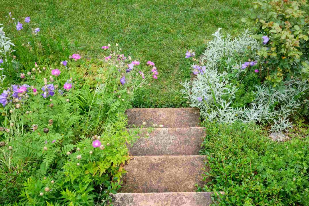 Ancien escalier en béton dan sun jardin