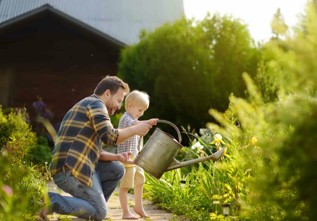 Un père et son enfant arrosent des plantes le long d'une allée piétonne d'un jardin