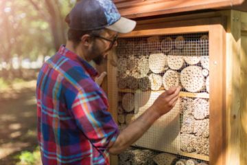 Un homme confectionne un hôtel à insectes