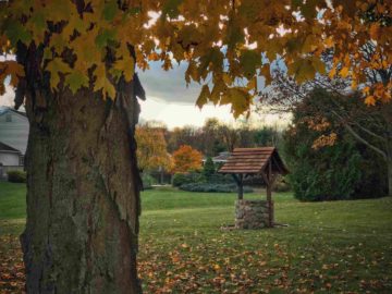 Un puits à l'ancienne dans un grand jardin