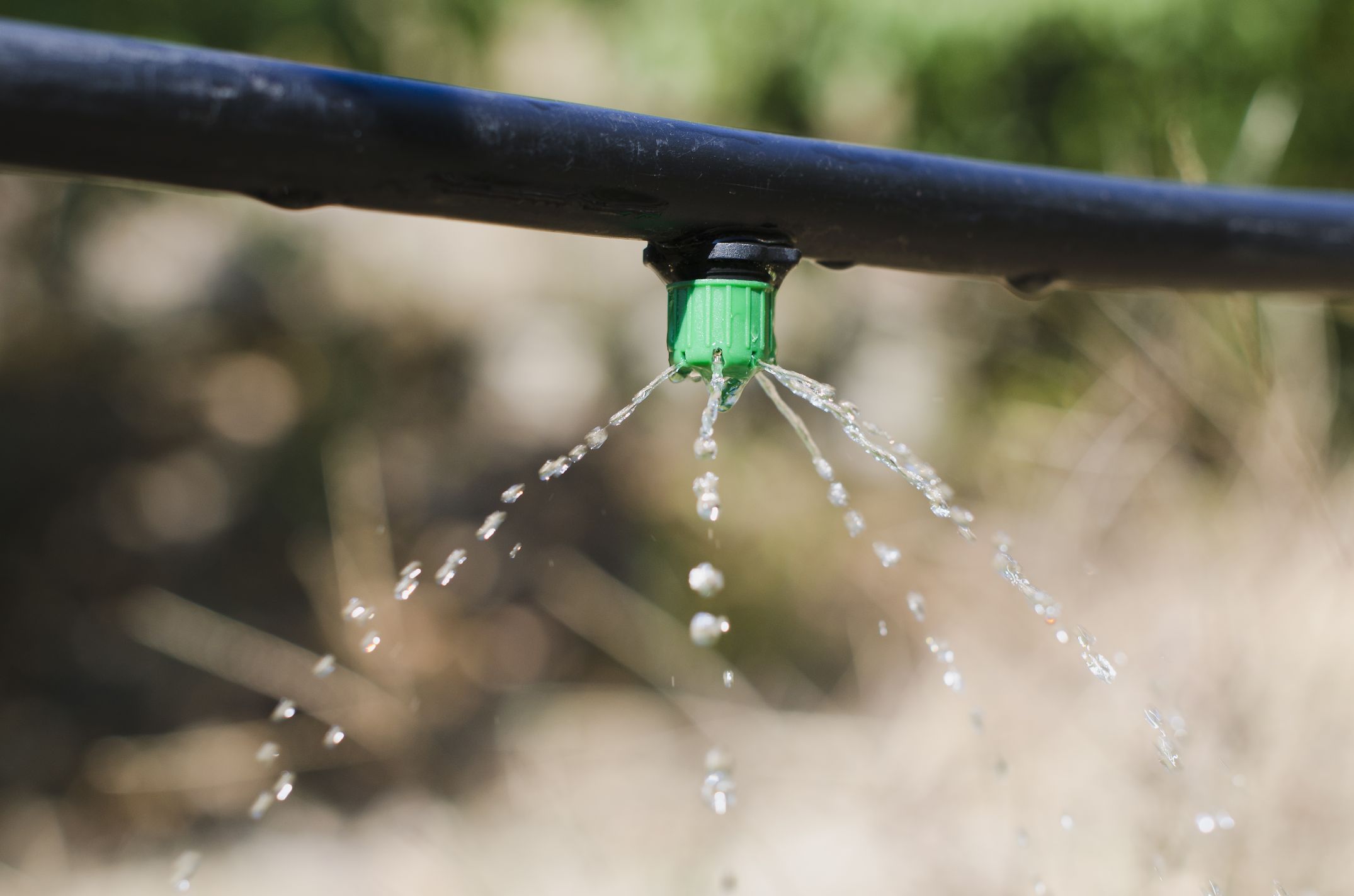 Système d'arrosage automatique au goutte-à-goutte dans un jardin