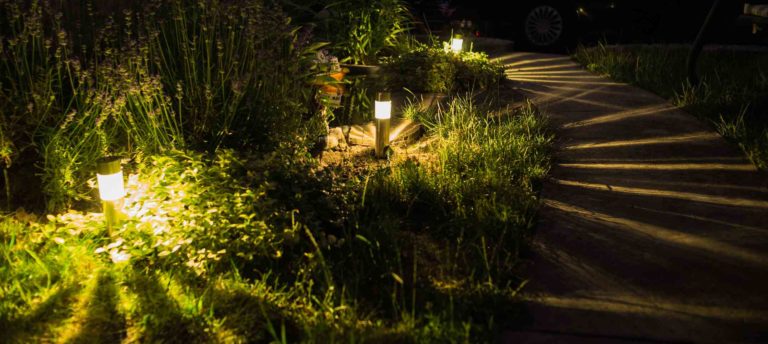 Lampes solaires illuminant un jardin la nuit