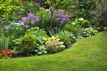 Un talus dans un jardin joliment aménagé et fleuri