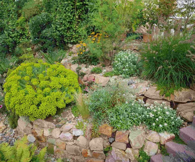 Enrochement dans un jardin paysager avec pierres et plantes