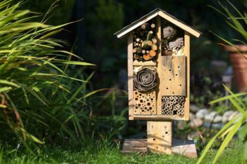 Hôtel à insectes installés dans un jardin