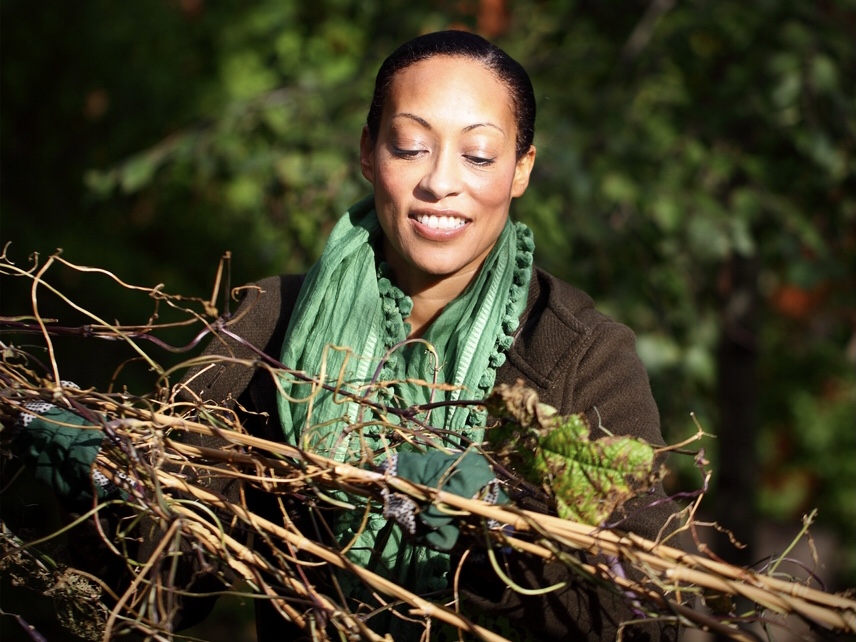 Que faire dans son jardin en janvier ?