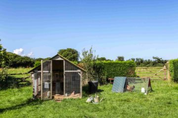 Un poulailler installé dans un jardin provatif