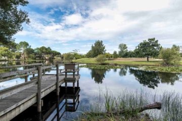 Un ponton sur un lac dans un propriété