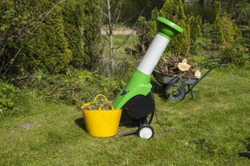 Un boyeur de végétaux dans un jardin