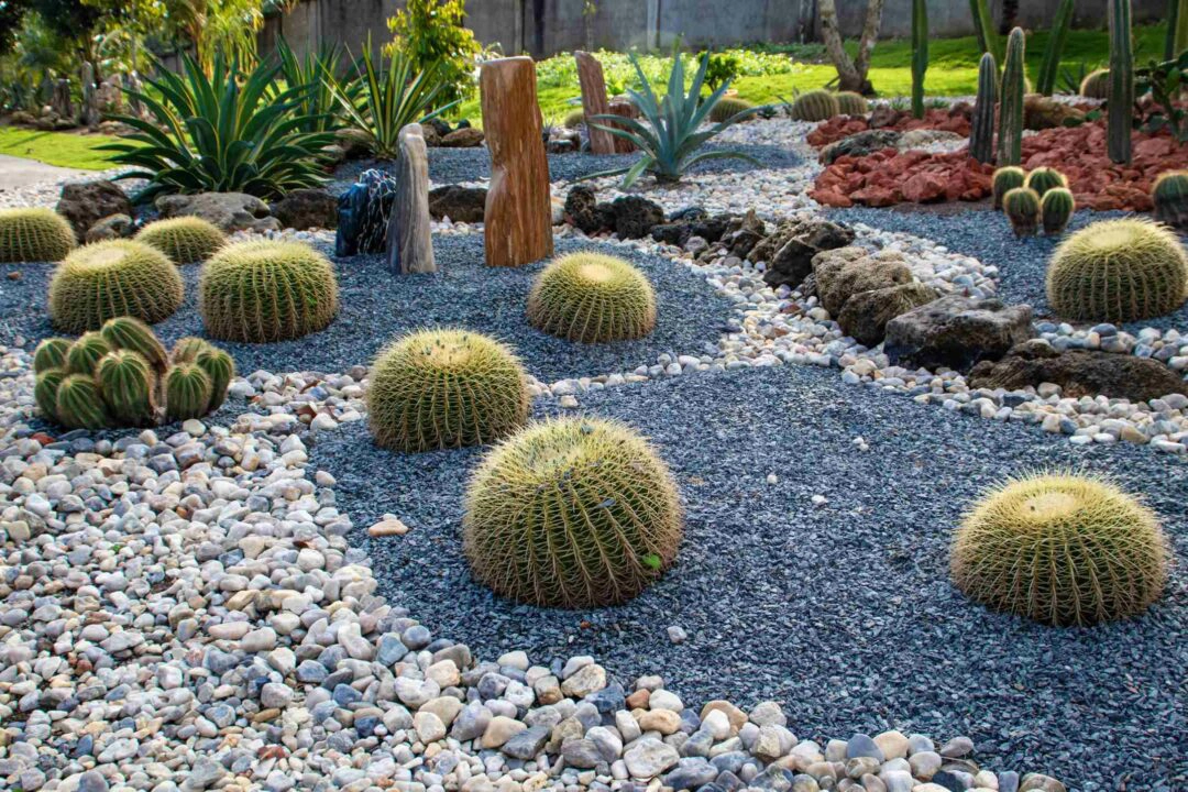 Un jardin paysager sec de style méditérranéen avec pierres, cactus