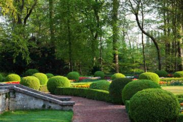 Un jardin à la française dans une belle propriété