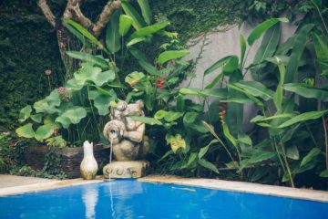 Un jardin et une décoration tropicales près d'une piscine