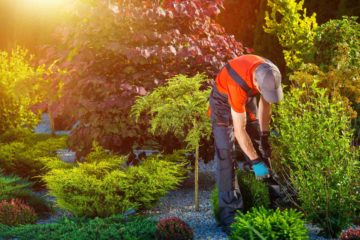 Un professionnel des jardins (architecte paysagiste) en plein travail dans un jardin