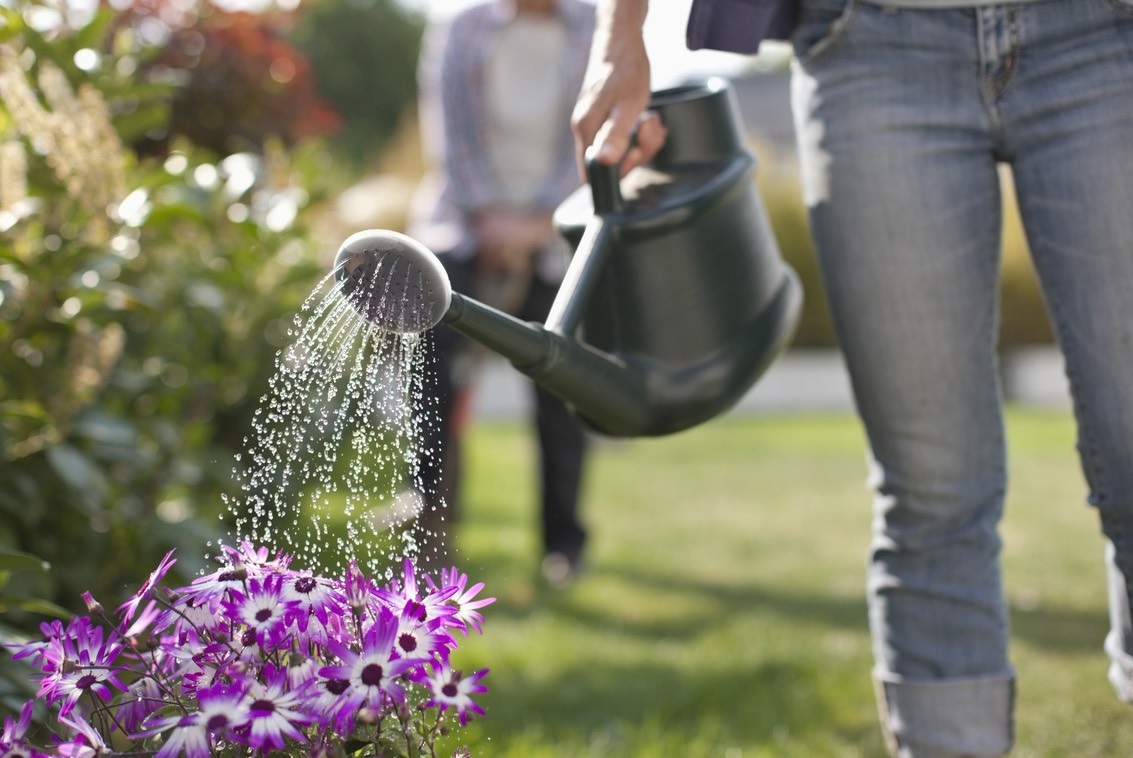 Que faire dans son jardin en juin ?