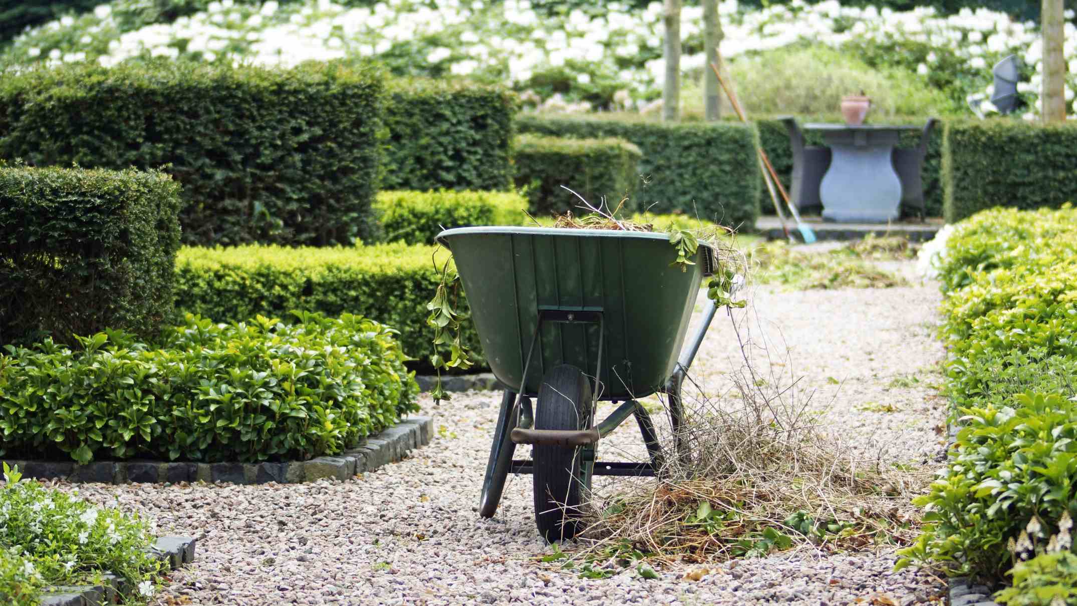 Une brouette dans un jardin en cours d'entretien