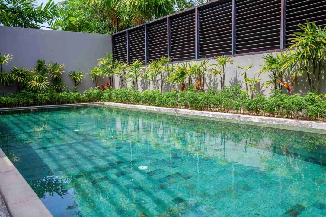 Une belle piscine dans un jardin avec plantes et arbustes exotiques