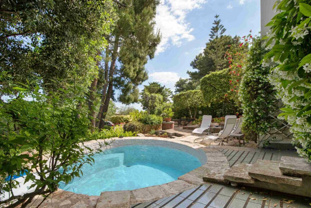 Une belle mini-piscine avec margelle en pierre naturelle dans un beau jardin paysager