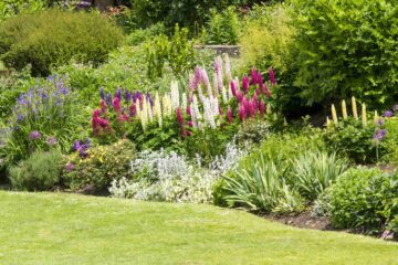 Des massifs de fleurs pour recouvrir un talus