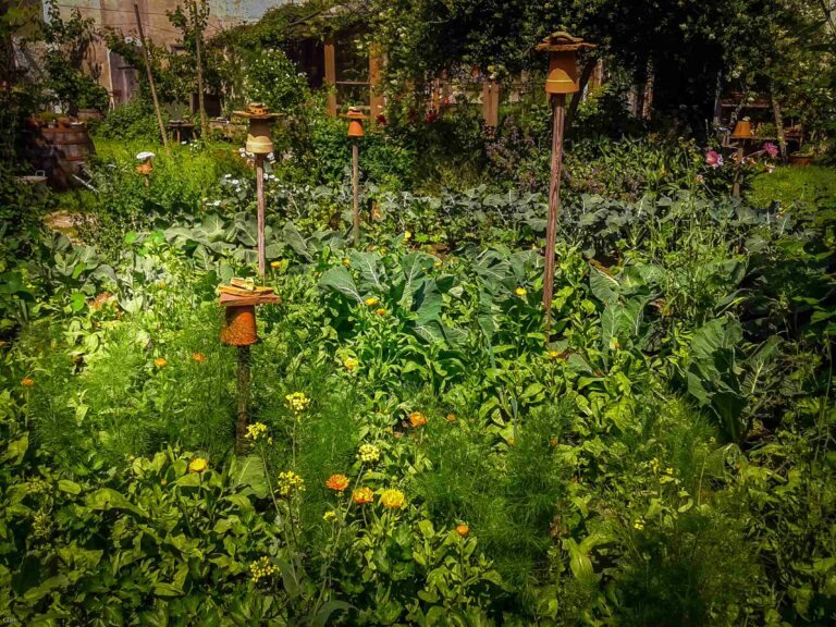 Un jardin nourricière avec fleur et potager