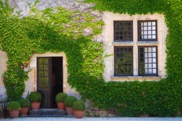 Un lierre recouvre la façade d'une belle maison ancienne