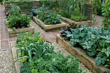 Qu’est-ce qu’un keyhole garden ou jardin en trou de serrure ?