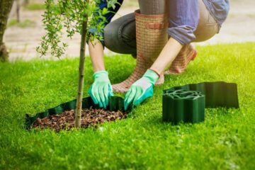 Une femme pose une bordure autour d'un jeune arbre dans un jardin