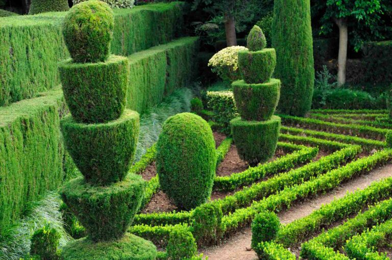 Un jardin géométrique avec hiaes taillées et topiaires