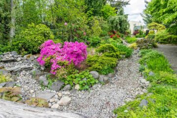 Un ruisseau sec aménagé dans un beau jardin paysager