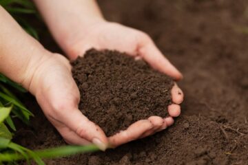 De la terre dans un jardin