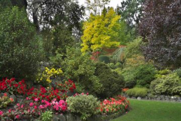 Un beau jardin paysager entretenu avec des fleurs, plantes, arbustes et arbres