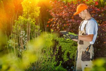 Un paysagiste consulte un plan dans un jardin