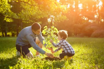 Que faire dans son jardin en novembre ?