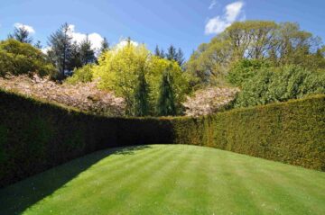 Un jardin entouré de grandes et hautes haies pour isoler de la vue et du bruit