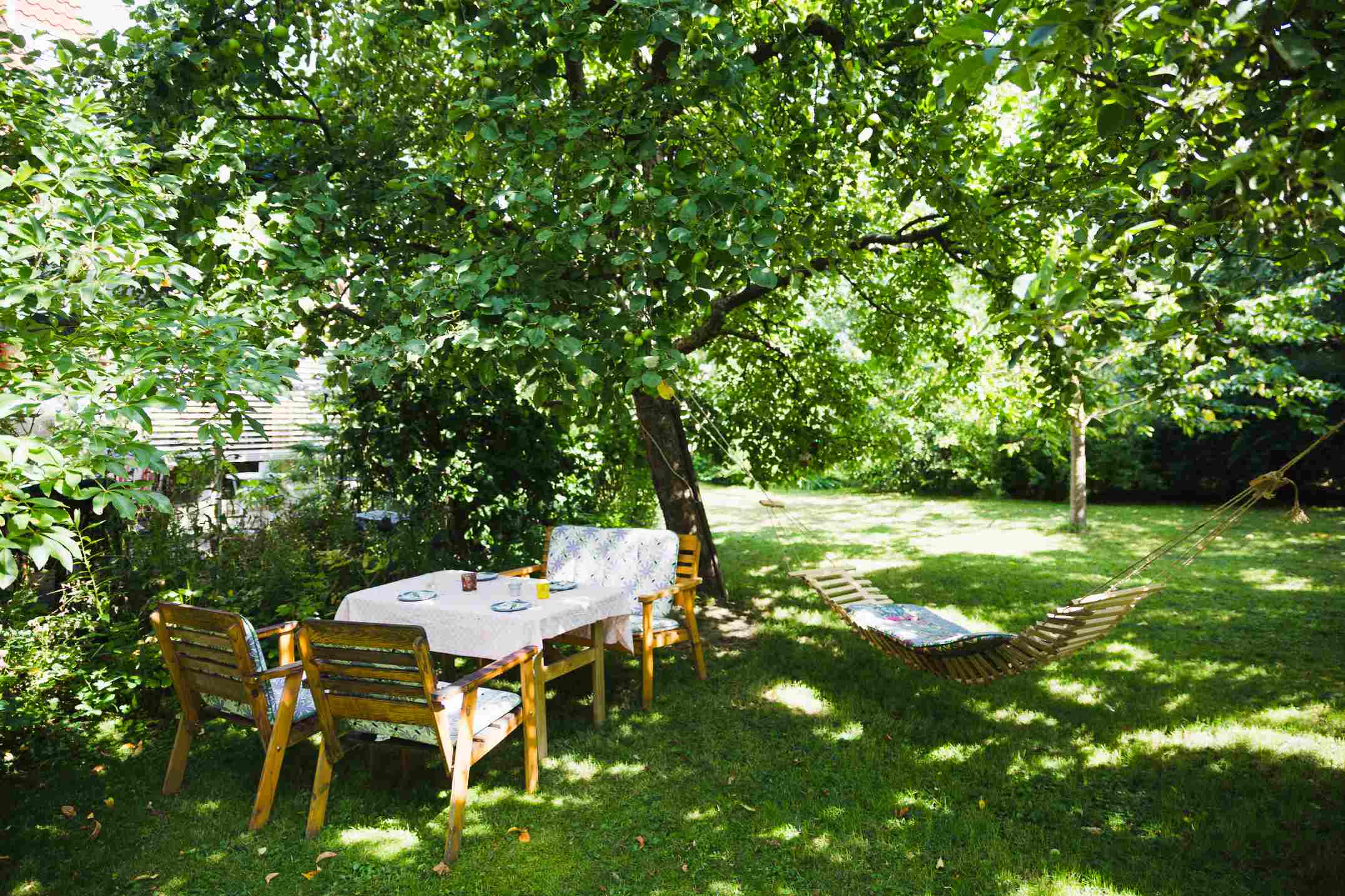 Un beau jardin ombragée avec plantes et arbres, un espace détente un coin repas