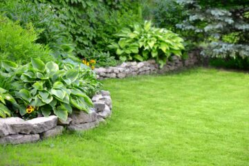 Un beau jardin paysager avec ses murets en pierre, son gazon et ses plantes