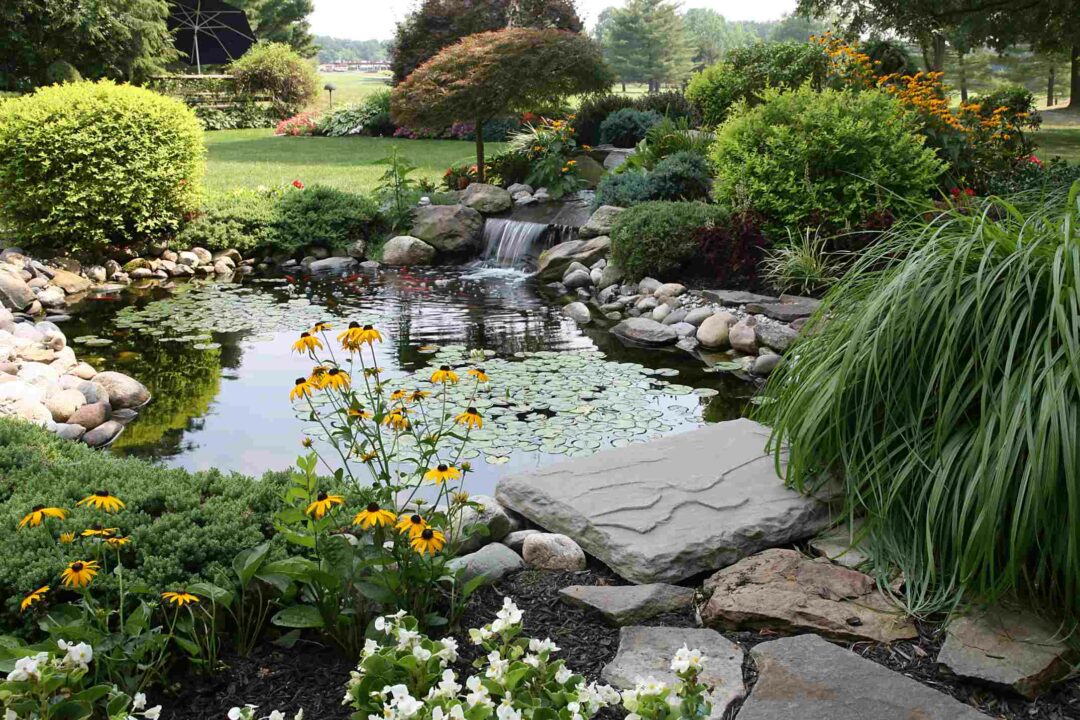 Un joli bassin de jardin avec sa cascade et ses plantes