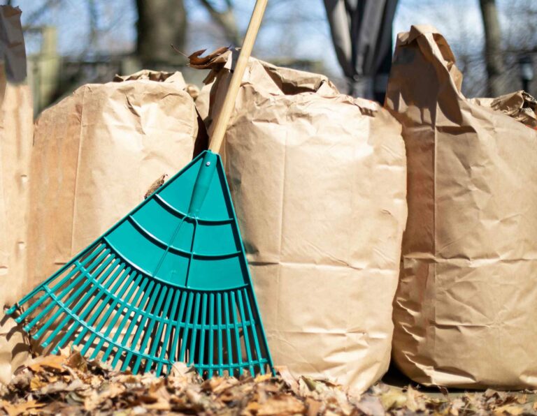 Des sacs en papiers remplis de déchets verts et feuilles mortes