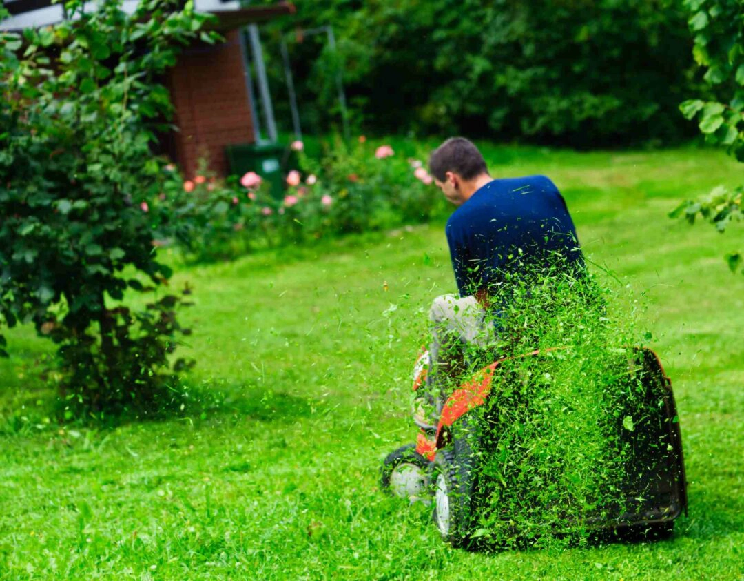 Un homme en train de tondre sa pelouse sur sa tondeuse avec la technique du mulshing