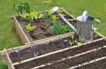 Un potager organisé dans un jardin